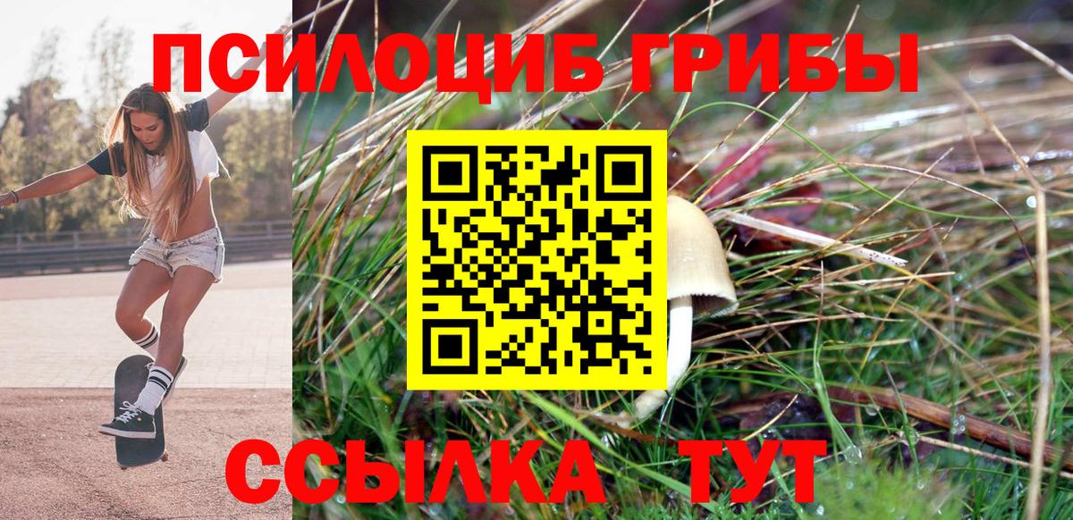 Кострома  где найти   Вход с VPN  Псилоцибиновые грибы Magic Shrooms 
